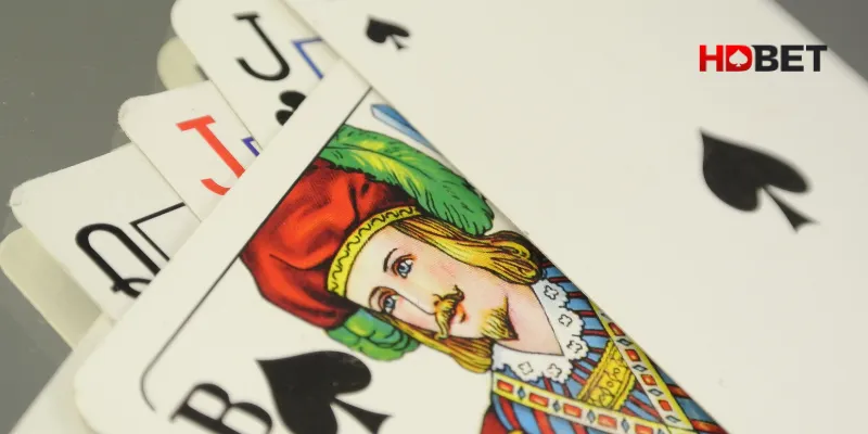 Cách Chơi Bài Xập Xám Cùng Với Mẹo Sắp Bài Dễ Hiểu Nhất