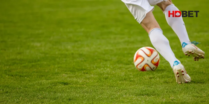 Giải đáp kèo 0.5/1 là gì cùng HDBET