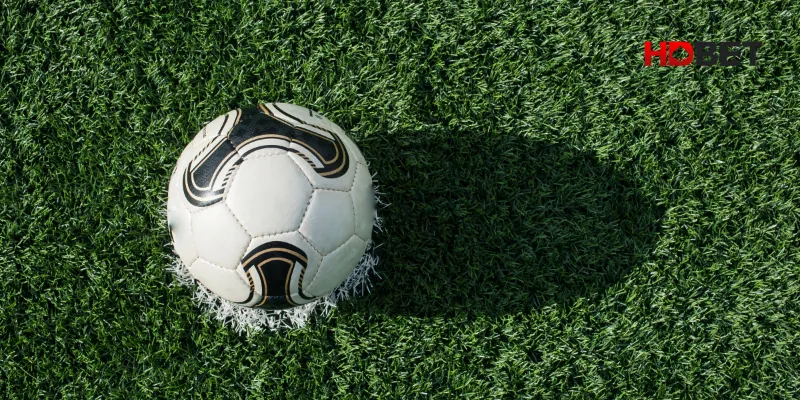 Giải thích bắt trận có tính hiệp phụ không