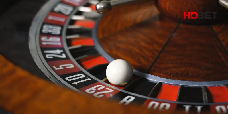 Các cửa cược và xác suất chiến thắng mà newbie cần biết