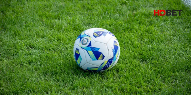 Kèo 0.5/1 Là Gì? Đánh Giá Ưu Điểm Và Kinh Nghiệm Xuống Tiền