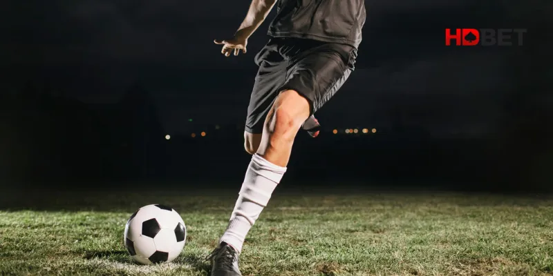 Theo dõi biến động tỷ lệ trước khi xuống tiền đặt kèo